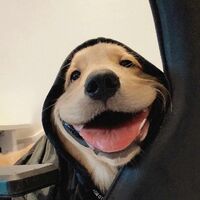 765aab78d500210a497093ac95e1dd322223ed5b