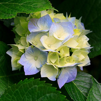 Ae644cdafc418e15d4bde0ccaaf688096032d97f