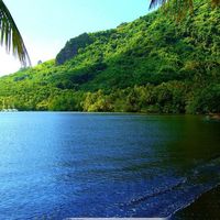 C8a5f43a341833ad760362a86630e87174aec6a4