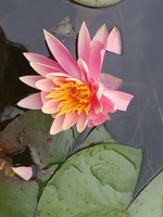 8386afa3458330d66d9a4f763f328d28a3a81974