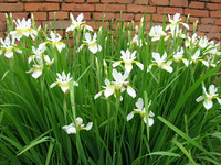 Ef279aa8cd0d99b6aa16000efcfd27ab904791a7