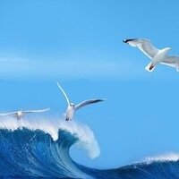 23a0e38ffa11423290eeeac94c350047e3bace95