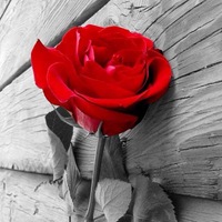 6e79a9b060a8df89399d7df3e972facc7d33a540