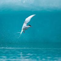 A607a999bf86c9d4e067cb35de54cf9e6c8f8838