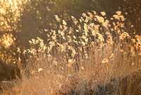 95e25a4234e150c91775ef6772f7b379168a08f4