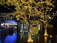 B296886aec3f95a583b8887553bc4e329b28dd6a