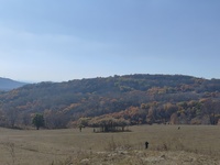 5cf47841121d7dac2250a8ed6da660dda77ce4a0