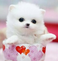 875b6857a4131078801588b5525a8de146bcac0c