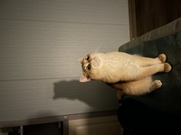 8413f683bc09baec36cb89db54e48c8f496c4483