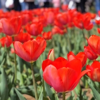 Bcaefa5bcf0f33aed05a676e5ce318b9b56e017e