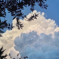 6fd00b36ddcef68b11b02b96bbb7ab3321acdd7d