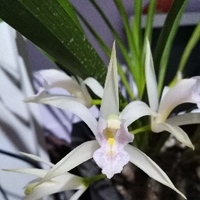 3aaa0376b09edff0aa7a50fefa95102658f8e392