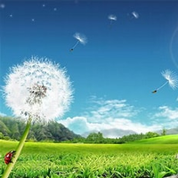 732489e829580ab0062e1ac0a60a1d8feb1e1546