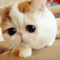 Dbec40ec4f32558371c99e00bbb70d2bb1b0fad9