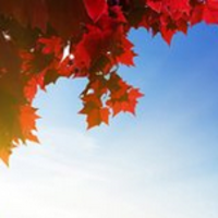 Ff9832a897eb3ad44b367a275909318e2f2fba39