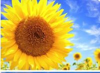 204545c104bab5959a3dcb1e9ac37bde5d0f89f4