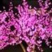 28ab14002923c8987c50c168ea4470cc212c3ca8