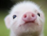 3a2d189dbdbdb4fc9b374399ec2f447a9a950b73