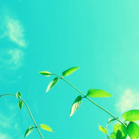 1ee256c0f3ebf3f9f26b765f1dce48cc613659ed