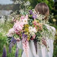 Be24833dbe56f66b11e998e34e03c653de4ce11d