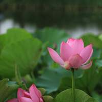 3e715c09d855cdf6f6e41583d4185e1bf7c0a01e