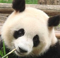 0947ba34bac0a6038c95b4ddbff3ecfbb89bf717