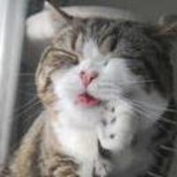 73200d1541f93c0c6ccbe7b9b0fc59829a764431