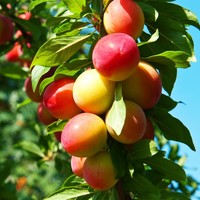 6a54be7fec4263e6b0a6322410db60b9f344a179