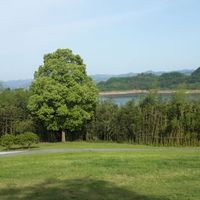 1766b780ba05c8d8d563b608a97016a30ef193dc