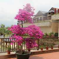 Ad8d0557734eecb9ef4d9624e676e2e08d87eeef