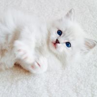 5c2e23bd89be4aa33d18890e8559ef4281b06375