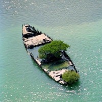 7784c743c9bac189b5de00bf49adac59981512dc