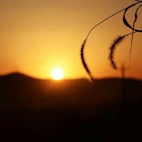 E767351d1d76bffecb3a4a284c5d6396a77b6824