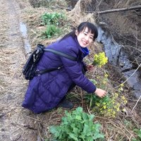 Ecfe41672ad823a30b7a54c96d94a6699e721a70