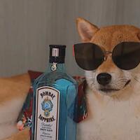 49a6cb67152f6e769f8cfcf2b8ba41aa07516fdb