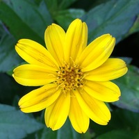 4f0dcdafd3444a012e870b32aa16340d350e79c7