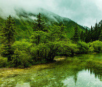 D5cfae7fdaa656646d572052bf529e2a4e75e1d0