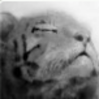 86650d412aa3d2fc13f5c25d612d784e21ca6774