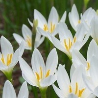 D2fdb13147ba25b5225d7e947e4adb39e22e2188