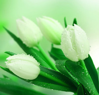 D2d374e2f423a41f36e9f9a09e185f28aa9d533a