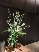 478025830707b3027f9452f2e42092c220f6aa1a