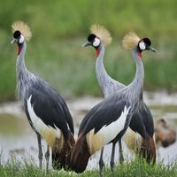 Bfac07e01a30a370547824f0530048838bec9fb0