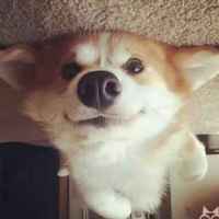 146f410f3535cb6992d82add4299a6388774600e