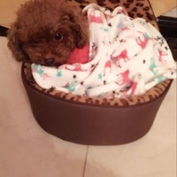 89c53a289a70e356104eaed4647c6a061491e9ee