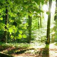 5387815fb5d5d3845c48c9b515e8fb2f6d6033db