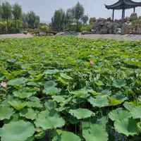 56085b306f96318cf5398c90912c08d3fd4c22f2