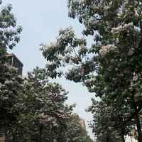 78605344fe98dc5b5377bbecf5410a6198d54b7f