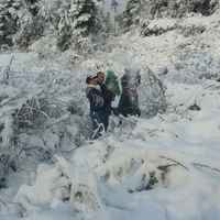 D1b6260d8f8354eb056cc6f023ed5eadba479c63