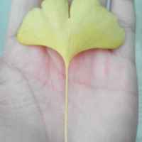 B9bc4ecd951f45905b6887830c27f6900fab26c9