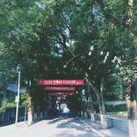 77229276c984dcaaf0ec9b7a8c762749511dd842